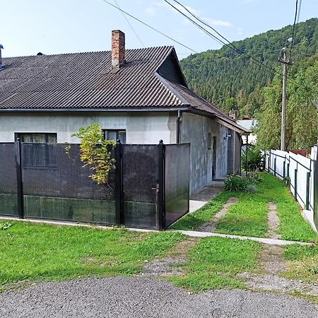 Чотири Стихії Villa Mizhhirya  Exterior photo